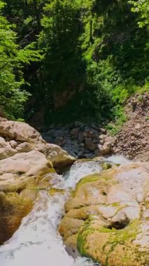 Bereketli yeşil ağaçlar ve ormanlarla çevrili kayalık bir uçurumdan şelalenin havadan çekilmiş dikey videosu güneşli bir yaz gününde FPV insansız hava aracıyla ağır çekimde çekildi..