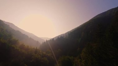 Pürüzsüz kayaların üzerinde kristal berrak su akan, yoğun yeşil ağaçlar tarafından kucaklanan ve gölgelikte yavaşça süzülen yumuşak güneş ışığıyla yıkanan sakin bir orman manzarası..