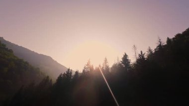 Pürüzsüz kayaların üzerinde kristal berrak su akan, yoğun yeşil ağaçlar tarafından kucaklanan ve gölgelikte yavaşça süzülen yumuşak güneş ışığıyla yıkanan sakin bir orman manzarası..