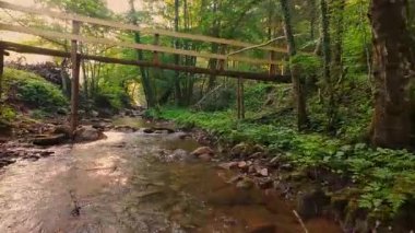 Pürüzsüz kayaların üzerinde kristal berrak su akan, yoğun yeşil ağaçlar tarafından kucaklanan ve gölgelikte yavaşça süzülen yumuşak güneş ışığıyla yıkanan sakin bir orman manzarası..