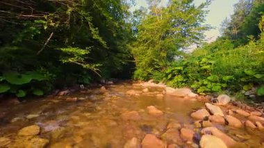 Pürüzsüz kayaların üzerinde kristal berrak su akan, yoğun yeşil ağaçlar tarafından kucaklanan ve gölgelikte yavaşça süzülen yumuşak güneş ışığıyla yıkanan sakin bir orman manzarası..