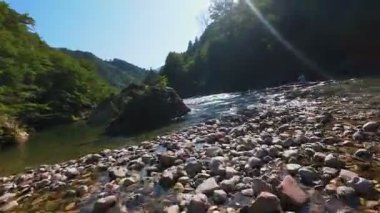 Arkadaşların FPV insansız hava aracı görüntüsü, sığ, kristal berrak bir nehirde, yemyeşil ormanlarla çevrili, parlak mavi gökyüzü altındaki uzak dağlarda, yaz macerasında yüzer.