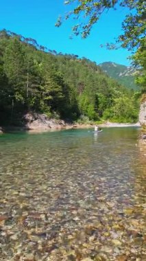 FPV hava aracının dikey videosu. Dostlar kürekleri sığ kristal berrak bir nehirde, yemyeşil orman ve açık mavi gökyüzü altında uzak dağlarla çevrili, yaz macerası ve...