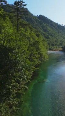 Kristal berraklığında yeşil bir nehrin dikey hava manzarası yemyeşil bir orman ve dağ vadisinde akıyor, insanlar canlı mavi bir yaz gökyüzü altında bir çakıl taşı plajında dinleniyor, doğa kaçışı, sükunet
