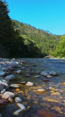 Kristal berraklığında yeşil bir nehrin dikey hava manzarası yemyeşil bir orman ve dağ vadisinde akıyor, insanlar canlı mavi bir yaz gökyüzü altında bir çakıl taşı plajında dinleniyor, doğa kaçışı, sükunet