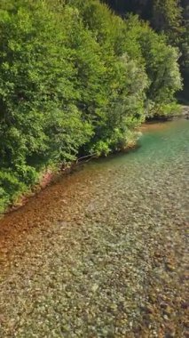 Kristal berraklığında yeşil bir nehrin dikey hava manzarası yemyeşil bir orman ve dağ vadisinde akıyor, insanlar canlı mavi bir yaz gökyüzü altında bir çakıl taşı plajında dinleniyor, doğa kaçışı, sükunet