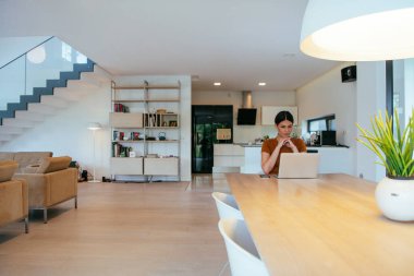 Oturma odasında oturan bir kadın bilgisayarla kameraya bakıyor iş arkadaşlarıyla görüntülü konuşma, vesikalık fotoğraf. İş görüşmesi soruları yanıtlıyor