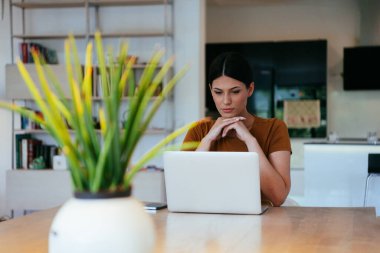Oturma odasında oturan bir kadın bilgisayarla kameraya bakıyor iş arkadaşlarıyla görüntülü konuşma, vesikalık fotoğraf. İş görüşmesi soruları yanıtlıyor