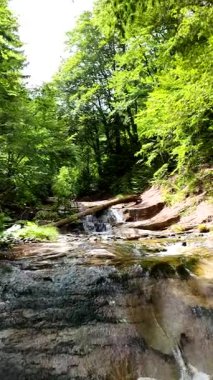 Yeşil ormandaki kayaların üzerinden akan güzel bir şelalenin havadan çekilmiş videosu, temiz su akıntısı olan doğa manzarası, rahatlama ve macera için seyahat yeri. Sinematik ağır çekim dikey