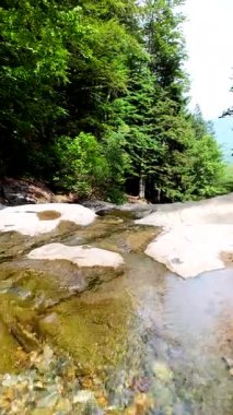Yeşil ormandaki kayaların üzerinden akan güzel bir şelalenin havadan çekilmiş videosu, temiz su akıntısı olan doğa manzarası, rahatlama ve macera için seyahat yeri. Sinematik ağır çekim dikey