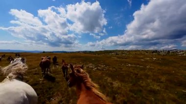 Uçan FPV yabani atların görüntüsü ya da uçsuz bucaksız yeşil düzlüklerde koşan bir grup macera, seyahat, liderlik, özgürlük ve doğanın güzelliğini simgeliyor. Sinematik ağır çekim görüntüleri
