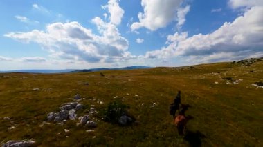Uçan FPV yabani atların görüntüsü ya da uçsuz bucaksız yeşil düzlüklerde koşan bir grup macera, seyahat, liderlik, özgürlük ve doğanın güzelliğini simgeliyor. Sinematik ağır çekim görüntüleri