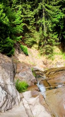 Yeşil ormandaki kayaların üzerinden akan güzel bir şelalenin havadan çekilmiş videosu, temiz su akıntısı olan doğa manzarası, rahatlama ve macera için seyahat yeri. Sinematik ağır çekim dikey