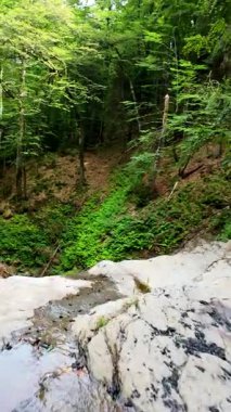 Yeşil ormandaki kayaların üzerinden akan güzel bir şelalenin havadan çekilmiş videosu, temiz su akıntısı olan doğa manzarası, rahatlama ve macera için seyahat yeri. Sinematik ağır çekim dikey