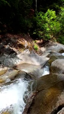 Yeşil ormandaki kayaların üzerinden akan güzel bir şelalenin havadan çekilmiş videosu, temiz su akıntısı olan doğa manzarası, rahatlama ve macera için seyahat yeri. Sinematik ağır çekim dikey