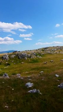 Uçan FPV yabani atların görüntüsü ya da uçsuz bucaksız yeşil düzlüklerde koşan bir grup macera, seyahat, liderlik, özgürlük ve doğanın güzelliğini simgeliyor. Sinematik ağır çekim dikey