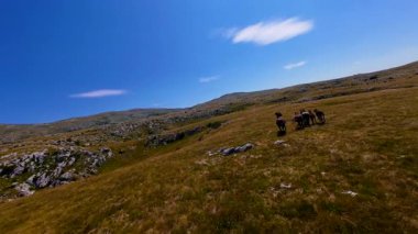 Uçan FPV yabani atların görüntüsü ya da uçsuz bucaksız yeşil düzlüklerde koşan bir grup macera, seyahat, liderlik, özgürlük ve doğanın güzelliğini simgeliyor. Sinematik ağır çekim görüntüleri