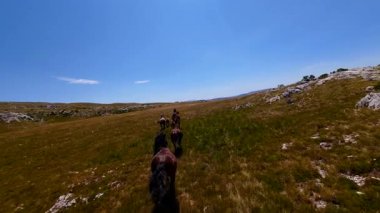 Uçan FPV yabani atların görüntüsü ya da uçsuz bucaksız yeşil düzlüklerde koşan bir grup macera, seyahat, liderlik, özgürlük ve doğanın güzelliğini simgeliyor. Sinematik ağır çekim görüntüleri
