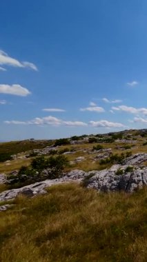 Uçan FPV yabani atların görüntüsü ya da uçsuz bucaksız yeşil düzlüklerde koşan bir grup macera, seyahat, liderlik, özgürlük ve doğanın güzelliğini simgeliyor. Sinematik ağır çekim dikey