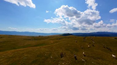 Uçan FPV yabani atların görüntüsü ya da uçsuz bucaksız yeşil düzlüklerde koşan bir grup macera, seyahat, liderlik, özgürlük ve doğanın güzelliğini simgeliyor. Sinematik ağır çekim görüntüleri