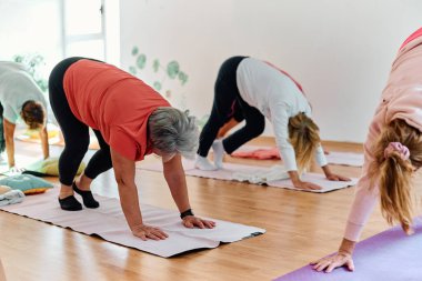Bir grup son sınıf öğrencisi, güneş alan bir alanda eğitmenin rehberliğinde boyun, sırt ve bacak esnetme gibi çeşitli yoga egzersizleri yaparak refahı ve uyumu sağlıyorlar.. 