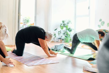 Bir grup son sınıf öğrencisi, güneş alan bir alanda eğitmenin rehberliğinde boyun, sırt ve bacak esnetme gibi çeşitli yoga egzersizleri yaparak refahı ve uyumu sağlıyorlar.. 
