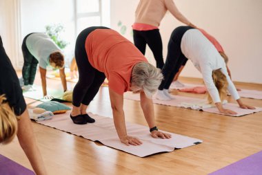Bir grup son sınıf öğrencisi, güneş alan bir alanda eğitmenin rehberliğinde boyun, sırt ve bacak esnetme gibi çeşitli yoga egzersizleri yaparak refahı ve uyumu sağlıyorlar.. 
