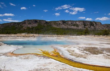 Yellowstone Ulusal Parkı 'ndaki düşük gayzer havzası, ABD