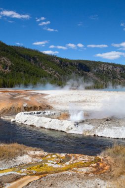 Yellowstone Ulusal Parkı 'ndaki düşük gayzer havzası, ABD