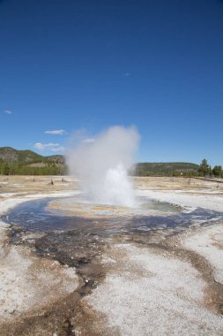 Yellowstone Ulusal Parkı 'ndaki düşük gayzer havzası, ABD