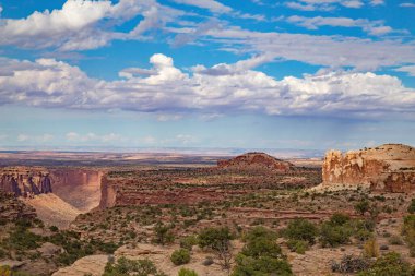 Yellowstone Ulusal Parkı 'ndaki düşük gayzer havzası, ABD