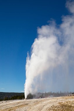 Yellowstone Ulusal Parkı 'nda koni gayzer patlaması