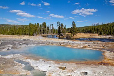 Yellowstone Ulusal Parkı 'ndaki düşük gayzer havzası, ABD