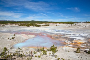 Norris gayzer havzası Yellowstone Ulusal Parkı, ABD