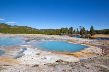 Yellowstone Ulusal Parkı 'ndaki düşük gayzer havzası, ABD