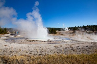 Sawmil Şofben patlama Yellowstone Milli Parkı, ABD