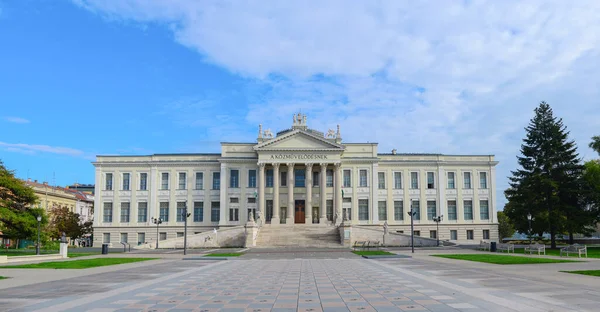 Szeged Kenti Macaristan Mora Ferenc Müzesi Tarihi Mimarinin Yüzü — Stok fotoğraf