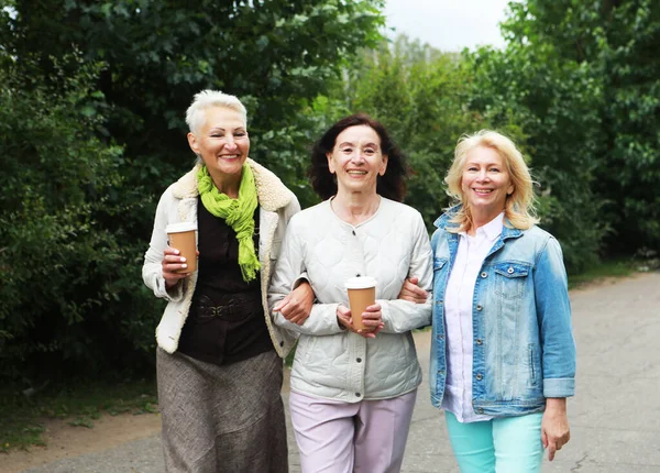 Charming Old Women 60S Drink Coffee Chat Walk Summer Park — Foto de Stock