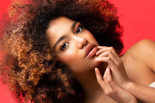 Νεαρή Κομψή Αφρο Αμερικανίδα Αφρο Μαλλιά Μακιγιάζ Αίγλης Κόκκινο Φόντο — Φωτογραφία Αρχείου