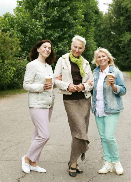 Lifestyle Friendship Old People Gold Age Concept Three Elderly Ladies — Foto de Stock