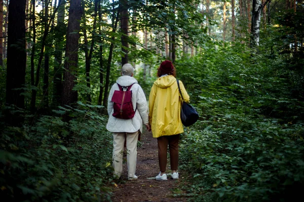 Sonbaharda Ormanda Yürüyüş Yapan Iki Kıdemli Bayan Arkadaş Arkadan Bak — Stok fotoğraf