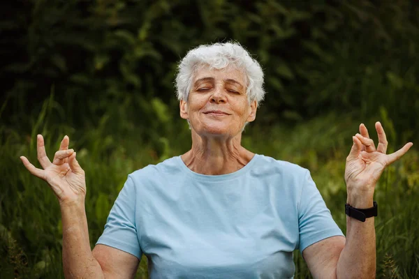 最好的老年女性在户外练习瑜伽和太极 — 图库照片