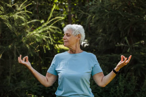 自然の中でリラックスした熟女 老婦人の瞑想 シニア女性は公園でヨガをしています 笑顔の老婦人運動 古い女性のワークアウト スポーツトレーニング リハビリ 年配の女性 — ストック写真