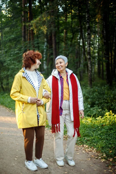 幸せな高齢者のカップルの女性がお互いを見て手を取り合って森の中を歩く 白人アクティブな高齢者灰色の髪の人々は 晴れた日に歩道で休暇の自由と自然ハイキングを楽しんでいます — ストック写真