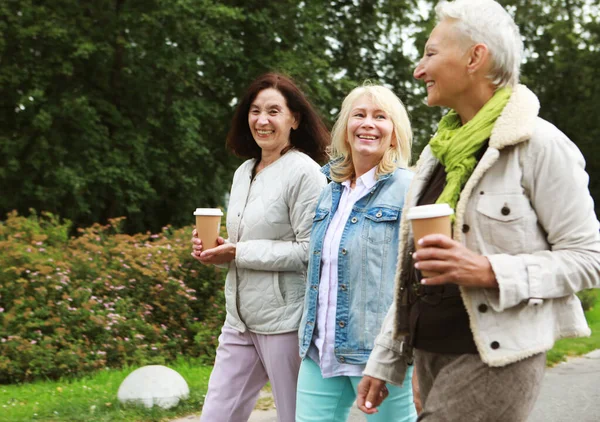 魅力的な高齢者の女性の友人 話やコーヒーを飲んで歩いている 公園の夏の日 — ストック写真