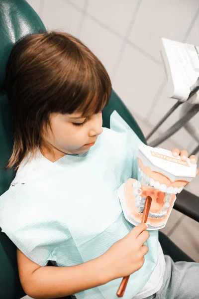 Pretty Child Girl Doctor Clinic Holding Dental Jaw Brush Teeth — Stockfoto