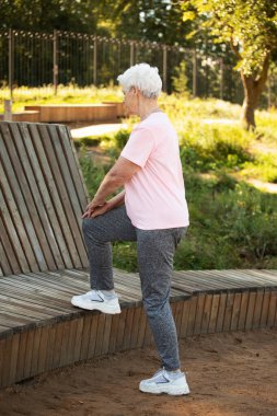 An elderly woman is doing gymnastics in the park. The old lady uses a wooden bench. Back View.