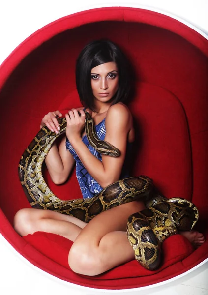 Attractive Young Brunette Woman Red Chair Holdung Python Snake Fashion — Stock Photo, Image