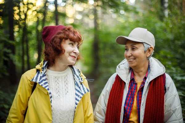 Vidám Nyugdíjas Női Barátok Beszélgetnek Nevetnek Őszi Parkban Életmódbeli Kókusz — Stock Fotó
