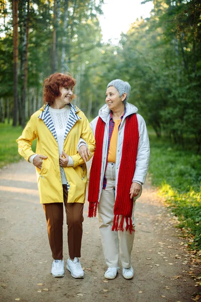 Boldog Idős Pár Nők Nézik Egymást Sétálva Erdőben Kéz Kézben — Stock Fotó